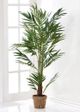 Giftcraft Brown/Green Decorative Tree with Basket-0