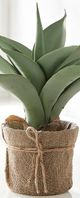 Giftcraft Brown/Green Decorative Plant with Planter-1