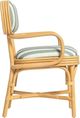 TOV Furniture Dorine Beige/Mint Green/Natural Dining Arm Chair-4