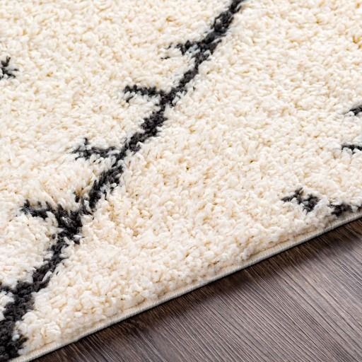 Surya Beni Shag Beige 8'x11' Area Rug-2