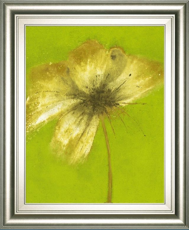 Classy Living Emma Forrester Floral Burst Vl Wall Art-0