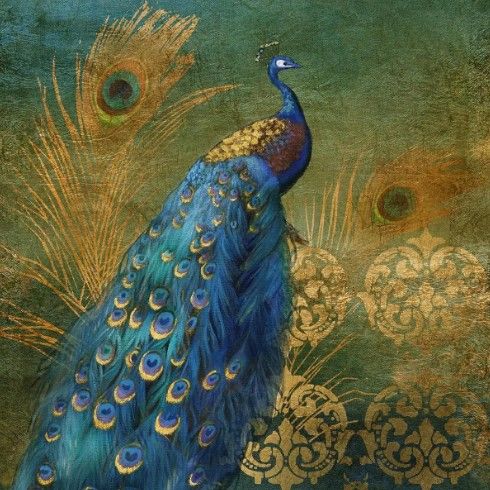 Classy Art Peacock Bliss by Nan Wall Art-0