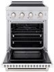 ZLINE Paramount 24" Satin Stainless Steel Pro Style Induction Range-1