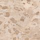 Dovetail Furniture Marbella Beige Bistro Table-3