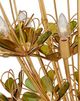 Currey & Company Midsummer Gold Chandelier-3
