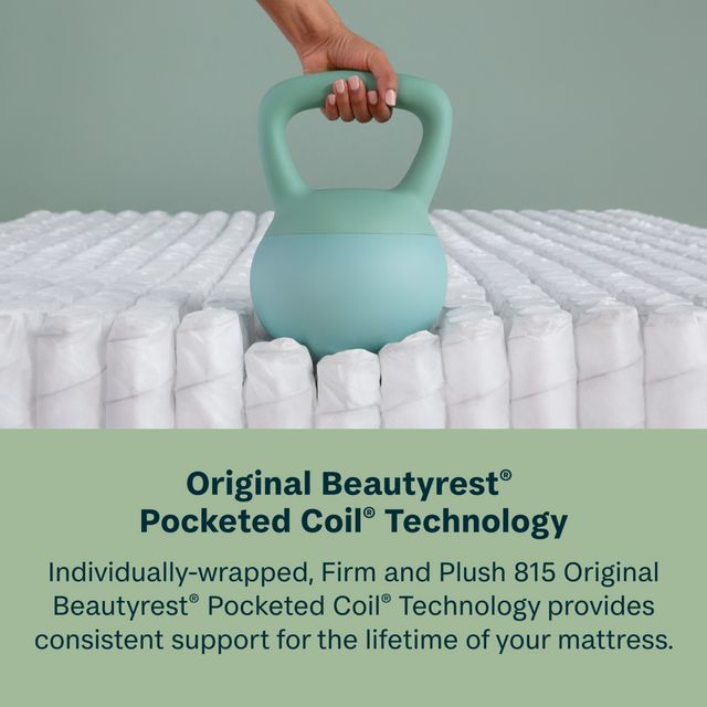 BeautySleep® Dream Weaver™ 14.25" Pocketed Coil Ultra Plush Pillow Top Queen Mattress-13