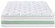 Primo™ International Ginger Cloud Nuovo 14" Hybrid Plush Pillow Top Queen Mattress in a Box-3