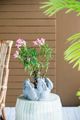 A & B Home Gray 7" Bunny Planter-5