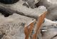 Crestview Collection Tiga Natural Whitewash Console Table-4