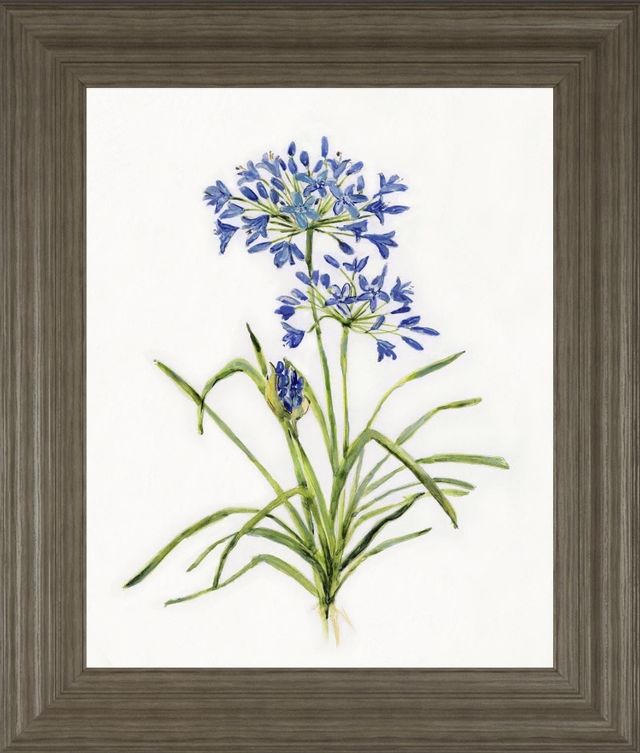 Classy Living Sally Swatland Blue Lively Botanical I Wall Art-0