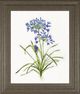 Classy Living Sally Swatland Blue Lively Botanical I Wall Art-0