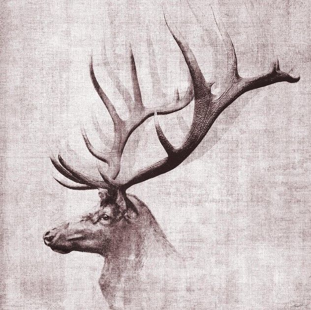 Classy Art Open Range II by John Butler Wall Art-0