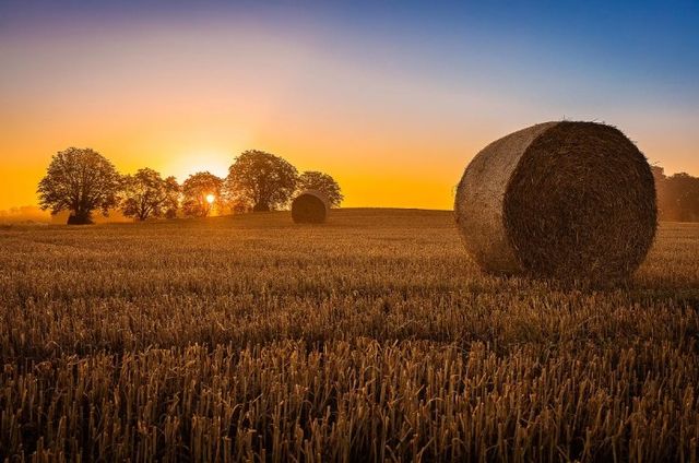 Classy Art Hay Bale Wall Art-0
