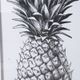 A & B Home Black/White Framed Pineapple Print-4