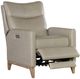 Hooker® Furniture RC Quinnie Verona Sage Power Recliner-1