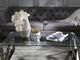 Sagebrook Home Glass Top Cocktail Table with Silver Base -2
