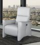 Stephane Electric Reclining Chair-0
