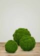 Le Present Moss Green Faux Botanical Ball-3