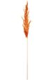A & B Home Red/Orange Dried Natural Pampas Grass Bundle-1