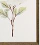 Stylecraft Light Green/White Framed Print-1