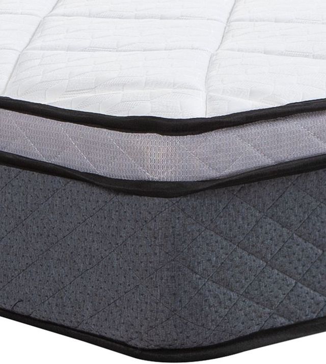 Springwall® Comfort Pockets® Belle Isle 9.5" Wrapped Coil Medium Firm Euro Top Twin XL Mattress in a Box-1