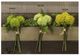 A & B Home Green 10" Faux Yarrow Bundle with Fern -0