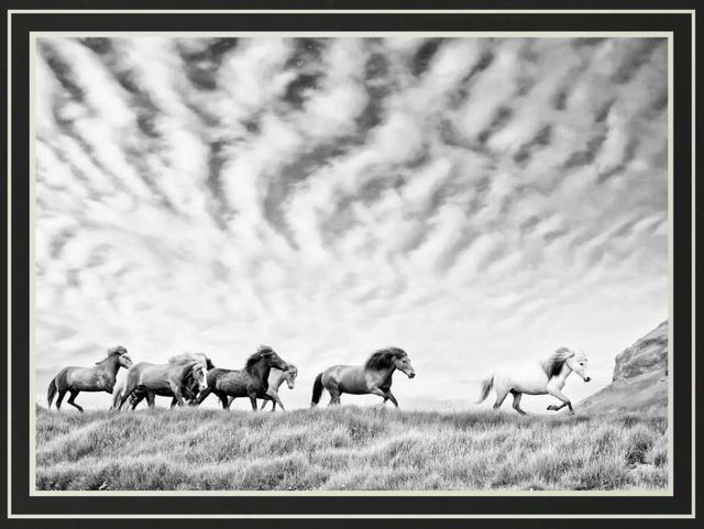 Classy Art Horse Run III by PHBurchett Wall Art-1