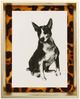 Stylecraft Modern Dog II Wall Art-0