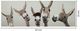 Classy Living Contemplative Flower Fuzzy Donkeys Wall Art-2