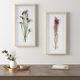 Olliix by Madison Park Avant Garden 2 Piece Multi Floral Natural Shadowbox Set-4