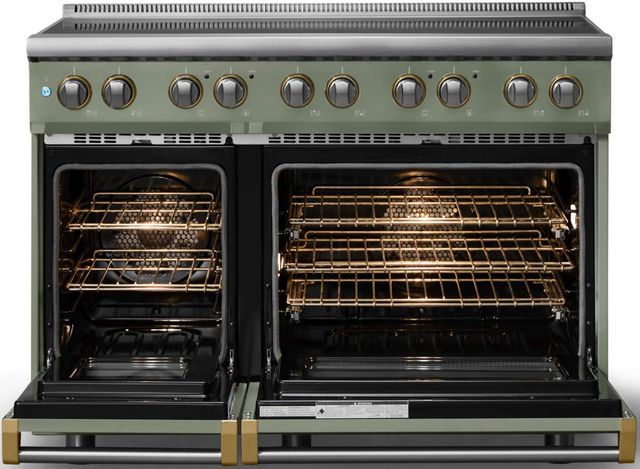 Viking® 5 Series 48" Eucalyptus Pro Style Induction Range with Brushed Brass Trim-1