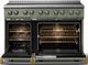 Viking® 5 Series 48" Eucalyptus Pro Style Induction Range with Brushed Brass Trim-1