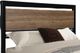 Milton Greens Stars Black Queen Metal Platform Bed-2