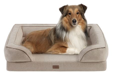 Olliix by Martha Stewart Bella Tan Pet Couch-2