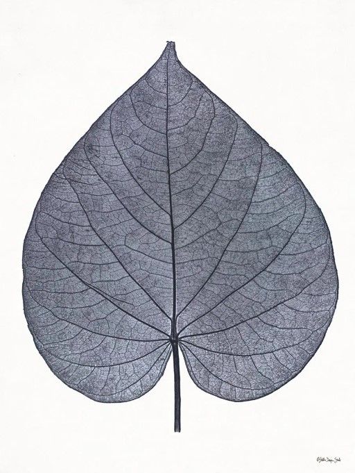 Classy Art Indigo Nature Study I by Stellar Design Studio Wall Art-0