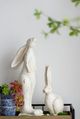 A & B Home Distressed White Small Rabbit Figurine-1