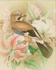 Stylecraft Tamara Day for Stylecraft Naturalist Archive I Wall Art-2