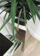 Le Present Chroma Classik Mirror 36" Planter-3