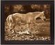 Classy Living Sepia River Stroll Wall Art-0