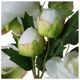 A & B Home White Peony -1