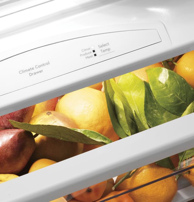 GE Profile™ 48 in. 28.7 Cu. Ft. Stainless Steel Built In Counter Depth Side-by-Side Refrigerator-7