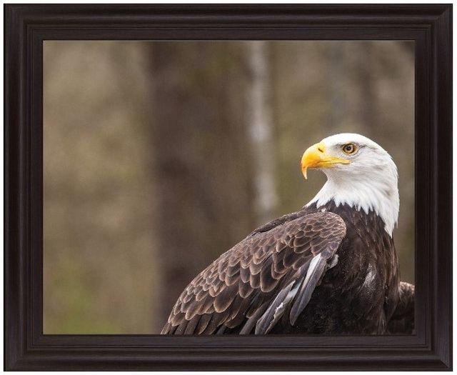 Classy Living Stoic Watcher Wall Art-0
