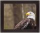 Classy Living Stoic Watcher Wall Art-0