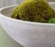 Signature Design by Ashley® Meadie Distressed White Bowl-2