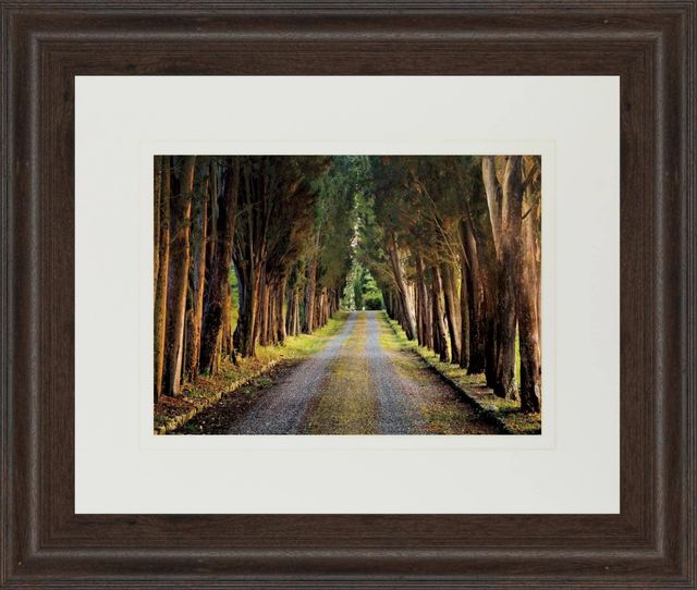 Classy Living Michael Tunnel Tree Tunnel Wall Art-0