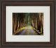 Classy Living Michael Tunnel Tree Tunnel Wall Art-0