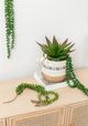 A & B Home Blushing Green Faux Bead Grass-2