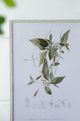 A & B Home 4-Piece White/Green Botanical Wall Arts Set-4