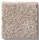 Shaw® Floors Simply The Best Make It Mine I Grecian Tan Carpet-0