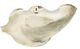 A & B Home Silver Decorative Leaf Shaped Platter-4